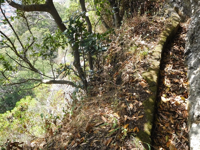 25.06.2016 Levada de Machico Teil 2 — Bis zum Ende des begehbaren Teils und zurück zum Umgehungsweg der Wandpassage — Foto 7