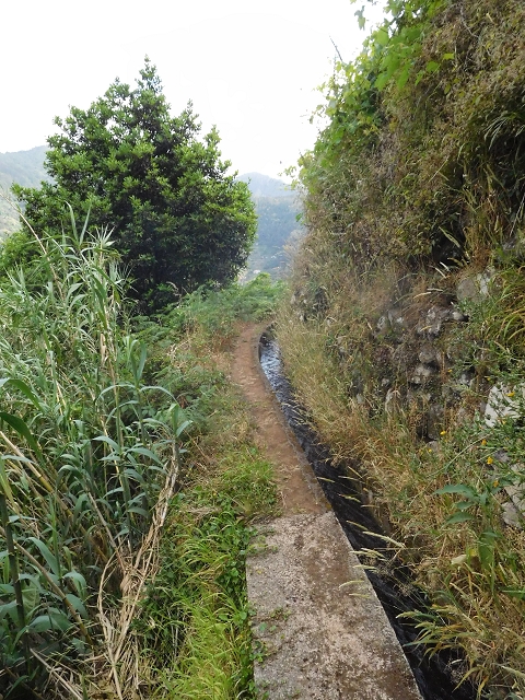 25.06.2016 Levada de Machico Teil 2 — Von der Strassenkreuzung bis zum letzten Reservoir — Foto 7