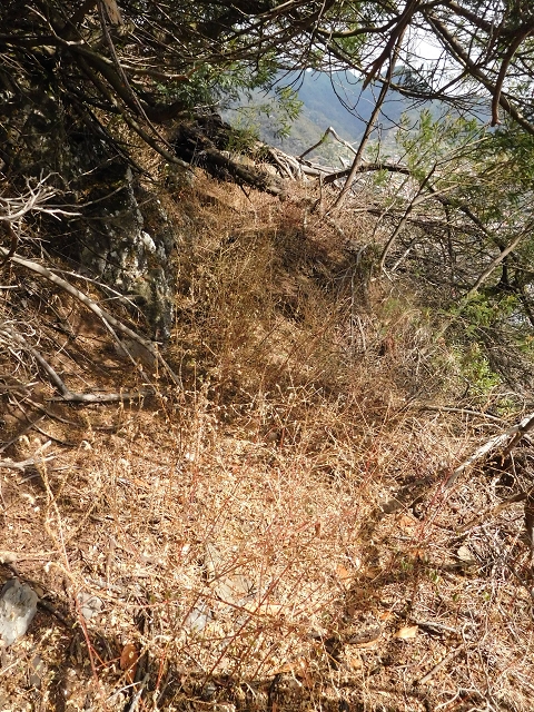 25.06.2016 Levada de Machico Teil 2 — Bis zum Ende des begehbaren Teils und zurück zum Umgehungsweg der Wandpassage — Foto 10