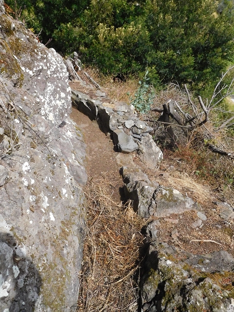 25.06.2016 Levada de Machico Teil 2 — Bis zum Ende des begehbaren Teils und zurück zum Umgehungsweg der Wandpassage — Foto 11