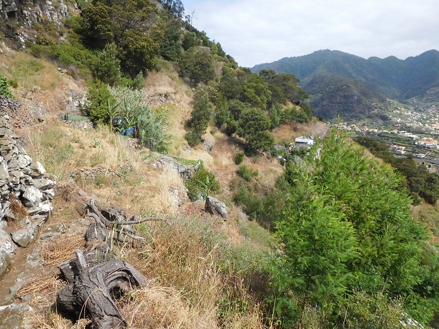 25.06.2016 Levada de Machico Teil 2 — Bis zum Ende des begehbaren Teils und zurück zum Umgehungsweg der Wandpassage — Foto 12