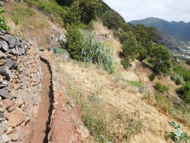 25.06.2016 Levada de Machico Teil 2 — Bis zum Ende des begehbaren Teils und zurück zum Umgehungsweg der Wandpassage — Foto 13