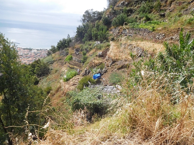 25.06.2016 Levada de Machico Teil 2 — Bis zum Ende des begehbaren Teils und zurück zum Umgehungsweg der Wandpassage — Foto 16