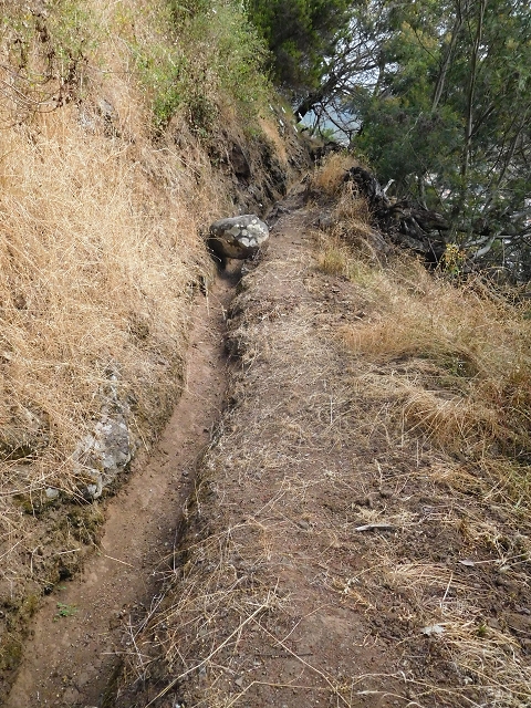 25.06.2016 Levada de Machico Teil 2 — Bis zum Ende des begehbaren Teils und zurück zum Umgehungsweg der Wandpassage — Foto 17