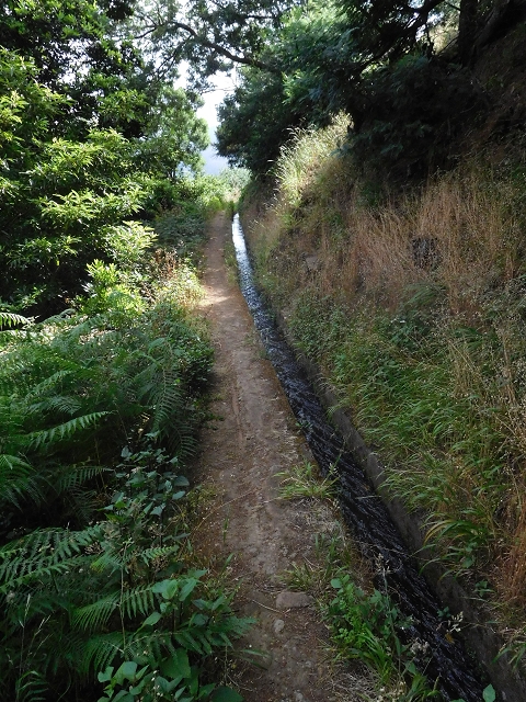 25.06.2016 Levada de Machico Teil 2 — Von der Strassenkreuzung bis zum letzten Reservoir — Foto 8