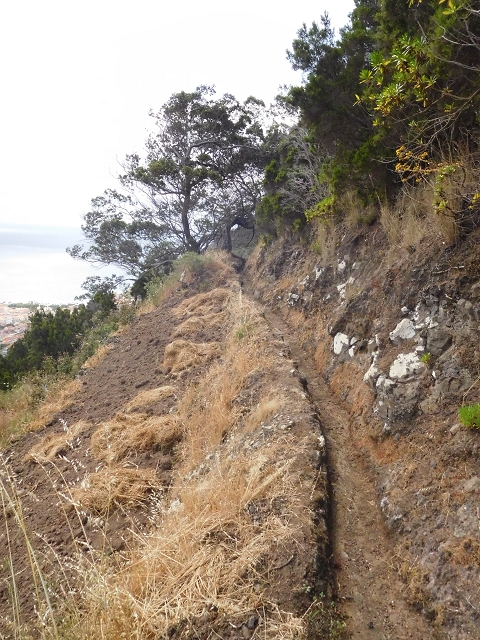 25.06.2016 Levada de Machico Teil 2 — Bis zum Ende des begehbaren Teils und zurück zum Umgehungsweg der Wandpassage — Foto 19