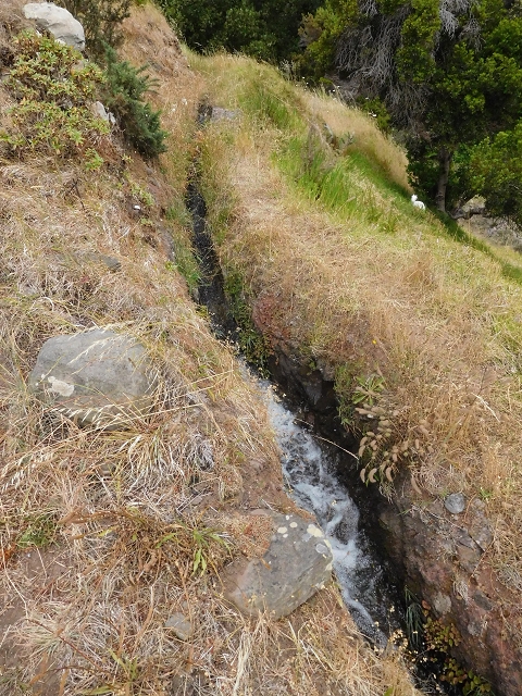 25.06.2016 Levada de Machico Teil 2 — Umgehungsweg und zurück zum Reservoir — Foto 1