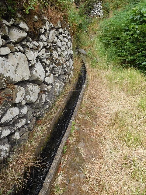 25.06.2016 Levada de Machico Teil 2 — Umgehungsweg und zurück zum Reservoir — Foto 3