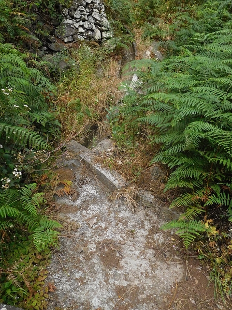 25.06.2016 Levada de Machico Teil 2 — Umgehungsweg und zurück zum Reservoir — Foto 4