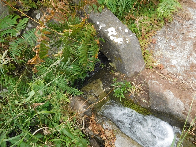 25.06.2016 Levada de Machico Teil 2 — Umgehungsweg und zurück zum Reservoir — Foto 5