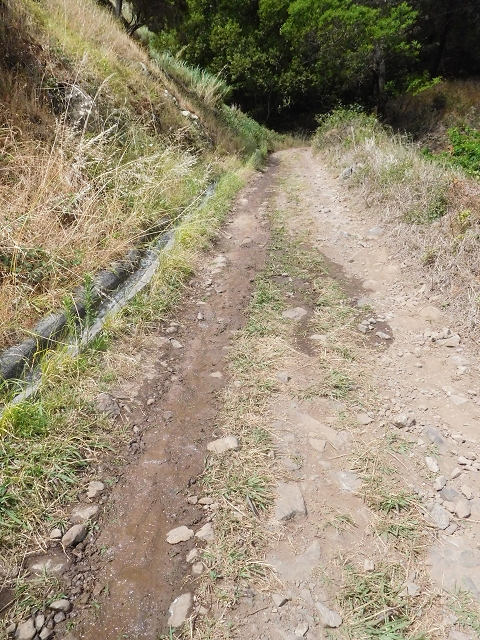 25.06.2016 Levada de Machico Teil 2 — Umgehungsweg und zurück zum Reservoir — Foto 8