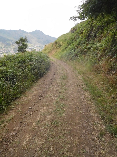 25.06.2016 Levada de Machico Teil 2 — Umgehungsweg und zurück zum Reservoir — Foto 9