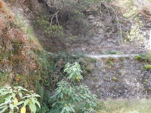 25.06.2016 Levada de Machico Teil 2 — Umgehungsweg und zurück zum Reservoir — Foto 10