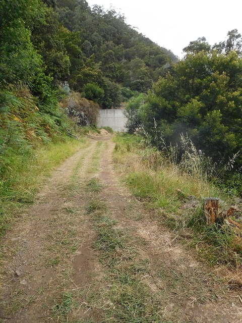 25.06.2016 Levada de Machico Teil 2 — Umgehungsweg und zurück zum Reservoir — Foto 12