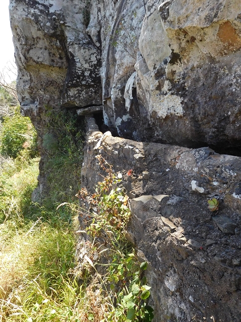 25 June 2016 Levada da Roda — From the watermill to the intermediate Madre — photo 10