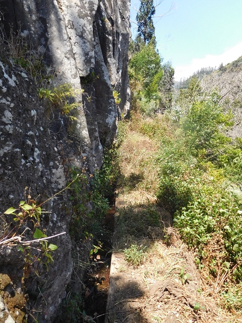 25 June 2016 Levada da Roda — From the watermill to the intermediate Madre — photo 11