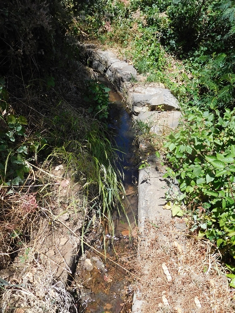 25 June 2016 Levada da Roda — From the watermill to the intermediate Madre — photo 12