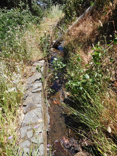 25 June 2016 Levada da Roda — From the intermediate Madre to the first watermill — photo 4