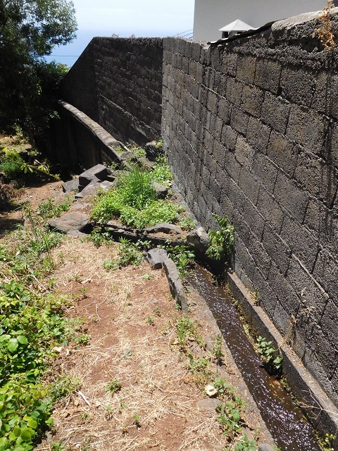 25 June 2016 Levada da Roda — From the watermill to the intermediate Madre — photo 2