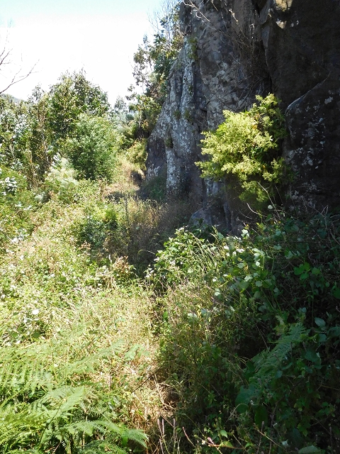 25 June 2016 Levada da Roda — From the intermediate Madre to the first watermill — photo 7