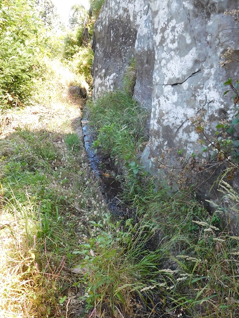 25 June 2016 Levada da Roda — From the intermediate Madre to the first watermill — photo 8
