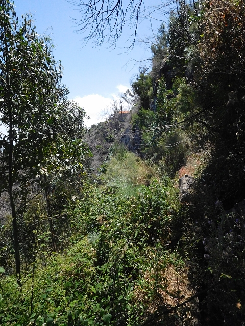 25 June 2016 Levada da Roda — From the intermediate Madre to the first watermill — photo 10