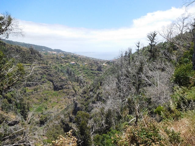 25 June 2016 Levada da Roda — From the intermediate Madre to the first watermill — photo 13