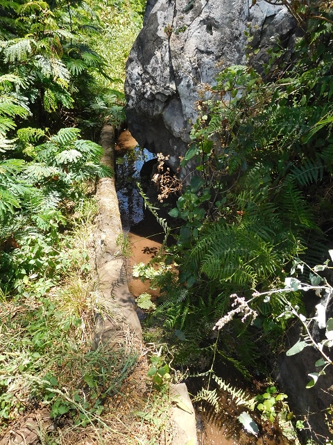 25 June 2016 Levada da Roda — From the intermediate Madre to the first watermill — photo 15
