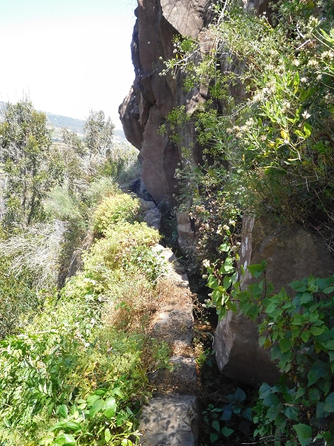 25 June 2016 Levada da Roda — From the intermediate Madre to the first watermill — photo 16