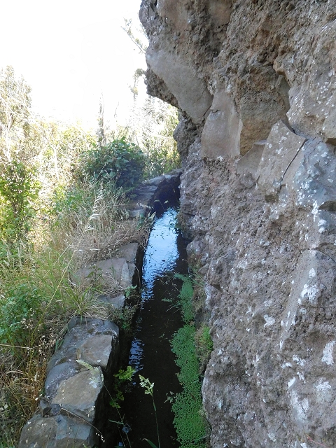 25 June 2016 Levada da Roda — From the intermediate Madre to the first watermill — photo 17