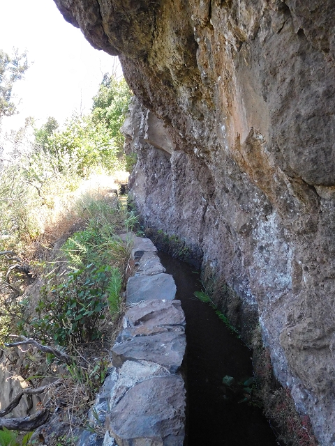 25 June 2016 Levada da Roda — From the intermediate Madre to the first watermill — photo 18