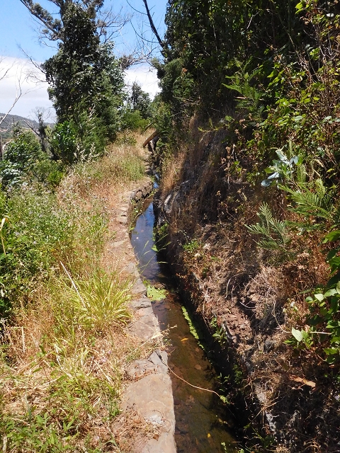 25 June 2016 Levada da Roda — From the intermediate Madre to the first watermill — photo 20