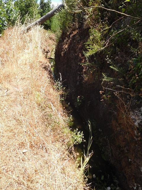 25 June 2016 Levada da Roda — From the intermediate Madre to the first watermill — photo 21