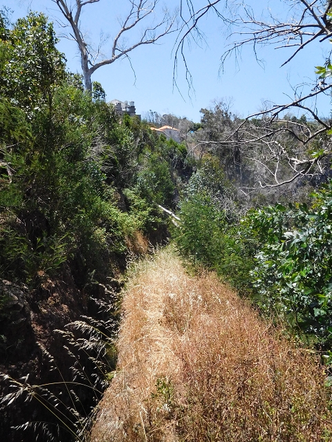 25 June 2016 Levada da Roda — From the intermediate Madre to the first watermill — photo 22