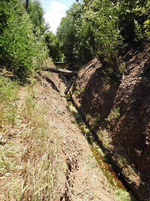 25 June 2016 Levada da Roda — From the intermediate Madre to the first watermill — photo 23