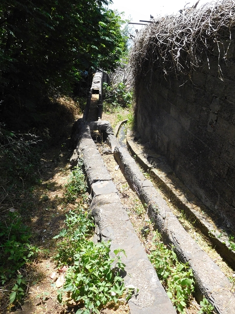 25 June 2016 Levada da Roda — From the watermill to the intermediate Madre — photo 4