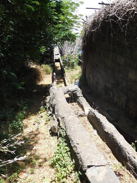 25 June 2016 Levada da Roda — From the intermediate Madre to the first watermill — photo 25