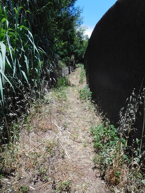 25 June 2016 Levada da Roda — From the intermediate Madre to the first watermill — photo 26