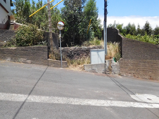 25 June 2016 Levada da Roda — From the intermediate Madre to the first watermill — photo 28
