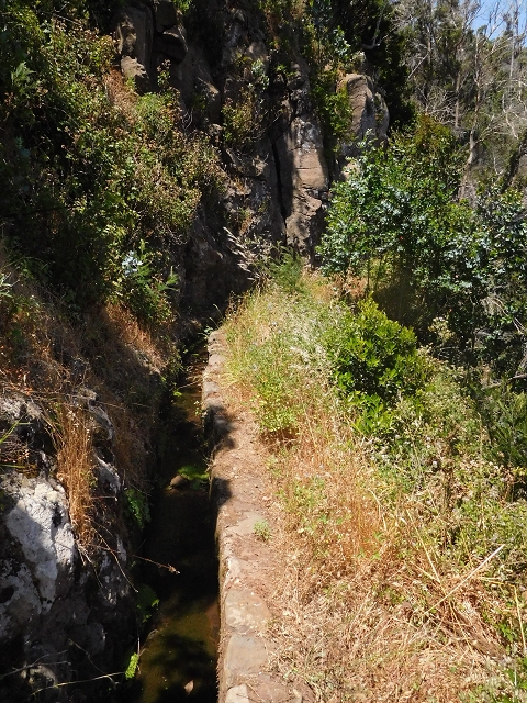 25 June 2016 Levada da Roda — From the watermill to the intermediate Madre — photo 5