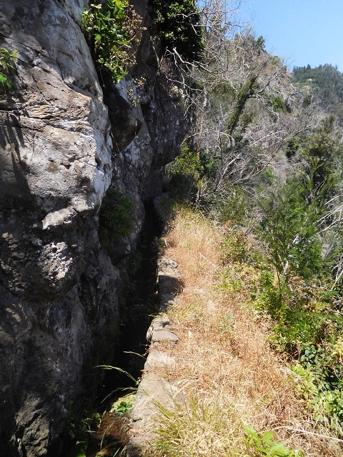 25 June 2016 Levada da Roda — From the watermill to the intermediate Madre — photo 6
