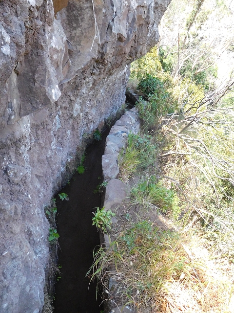 25 June 2016 Levada da Roda — From the watermill to the intermediate Madre — photo 7