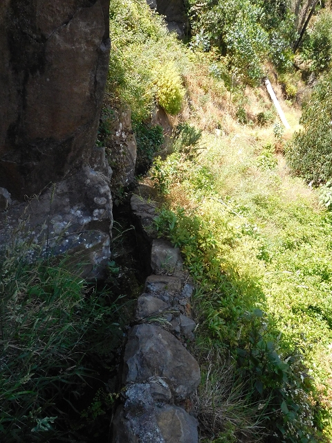 25 June 2016 Levada da Roda — From the watermill to the intermediate Madre — photo 8