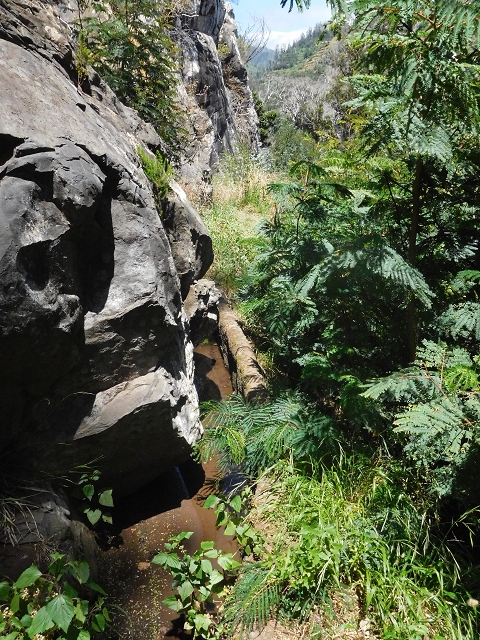 25 June 2016 Levada da Roda — From the watermill to the intermediate Madre — photo 9