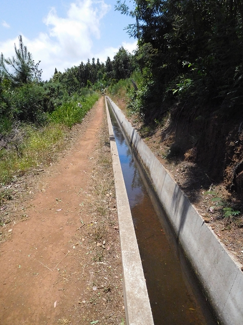 25 June 2016 Levada dos Tornos — From the ER-206 as far as Pico de Gaula — photo 1