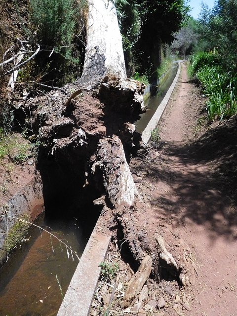 25 June 2016 Levada dos Tornos — Through 2 tunnels as far as the turning point — photo 2