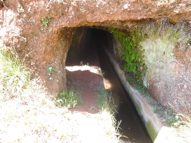 25 June 2016 Levada dos Tornos — Through 2 tunnels as far as the turning point — photo 3