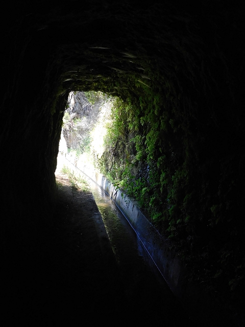 25 June 2016 Levada dos Tornos — Through 2 tunnels as far as the turning point — photo 5