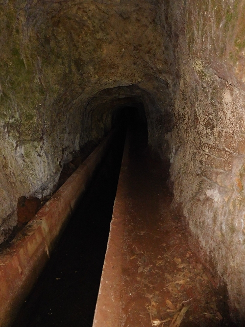 25 June 2016 Levada dos Tornos — Through 2 tunnels as far as the turning point — photo 6