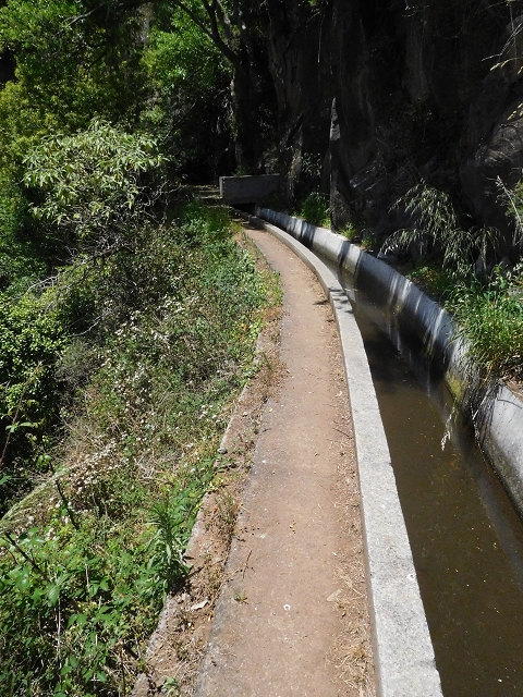 25 June 2016 Levada dos Tornos — Through 2 tunnels as far as the turning point — photo 7